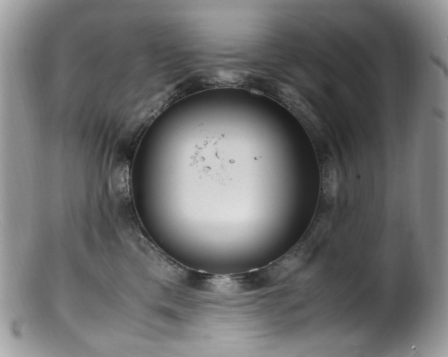 X0000099400425200805151709