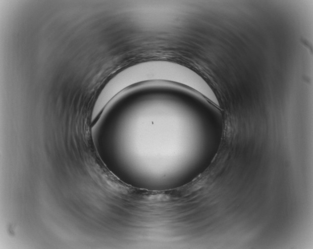 X0000099400426200805151709