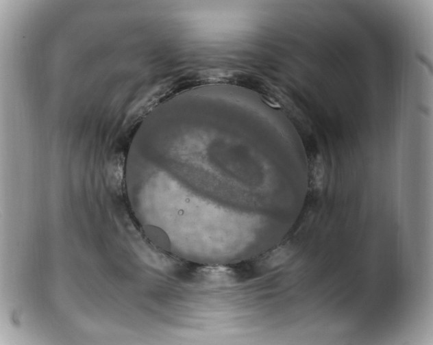 X0000099400427200805151709