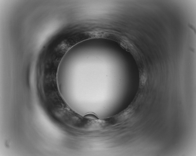 X0000099400429200805151709