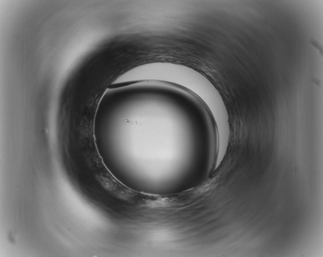 X0000099400430200805151709