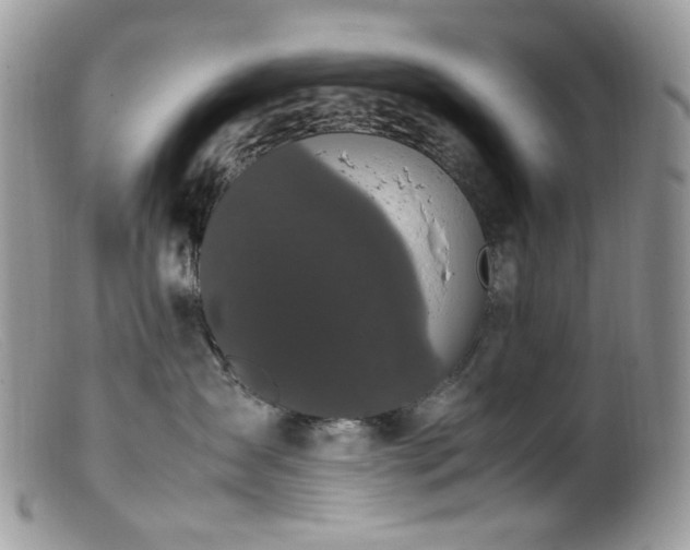 X0000099400431200805151709