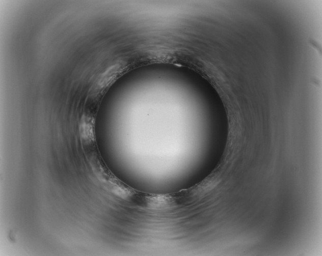 X0000099400432200805151709