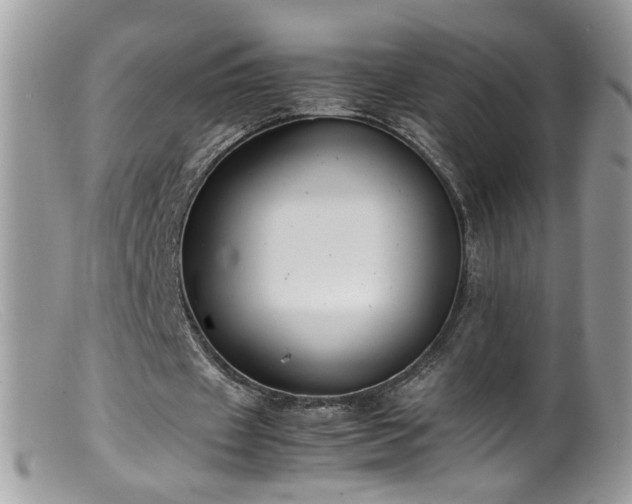 X0000099400433200805151709