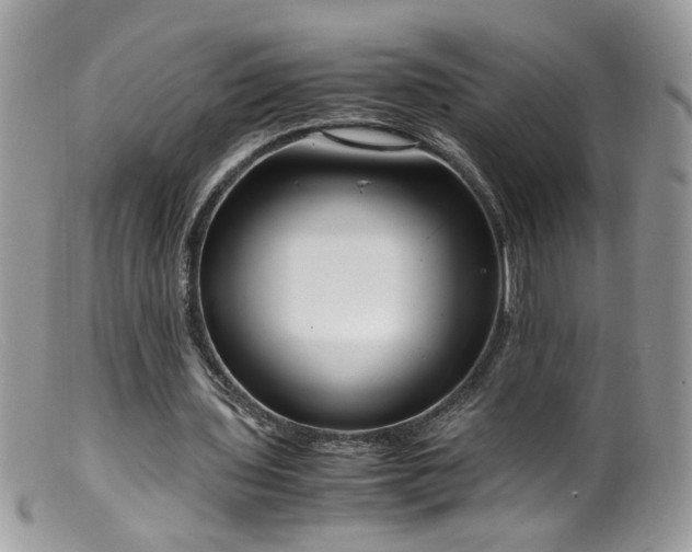 X0000099400435200805151709