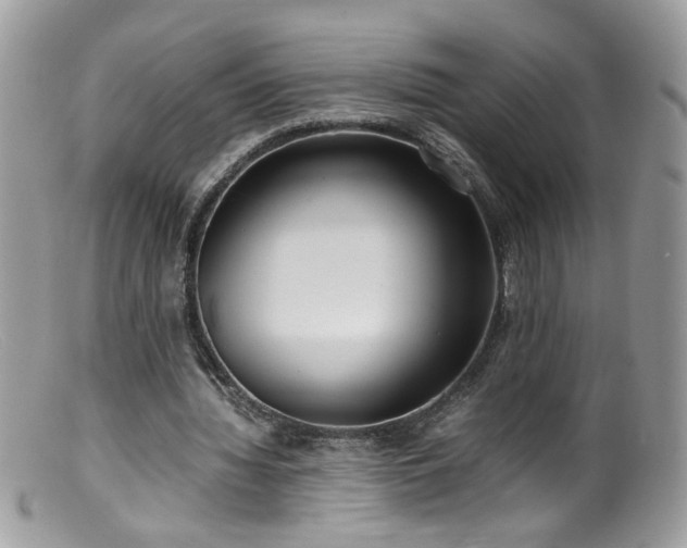 X0000099400436200805151709