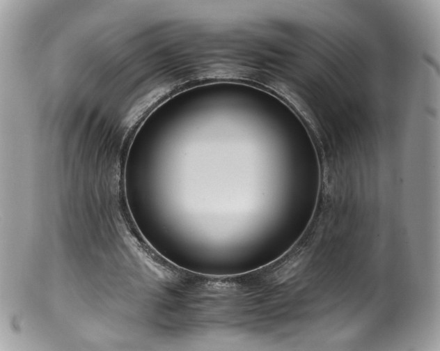 X0000099400437200805151709