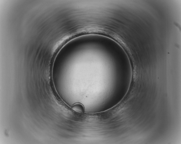 X0000099400438200805151709