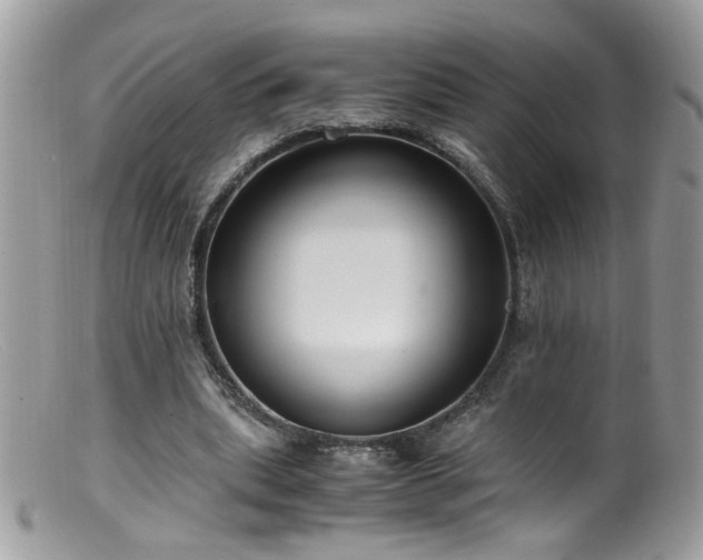 X0000099400439200805151709