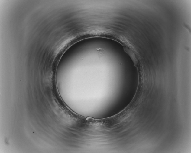 X0000099400440200805151709