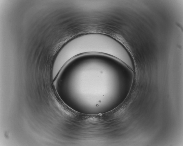 X0000099400441200805151709