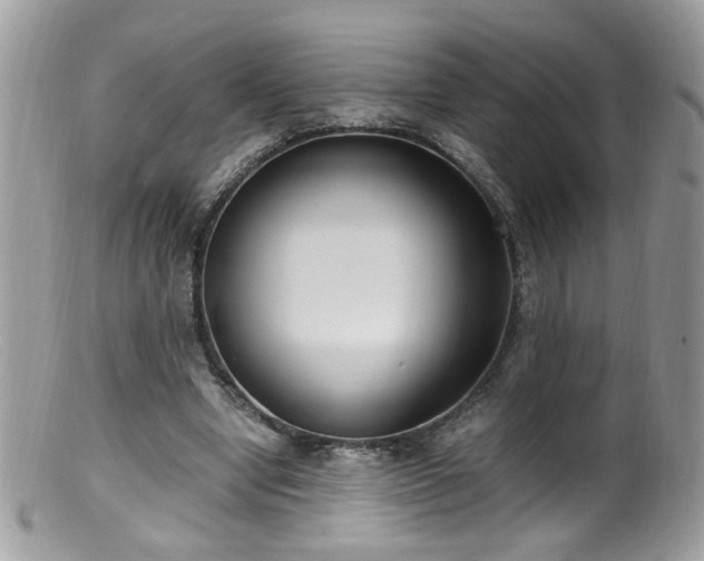 X0000099400442200805151709