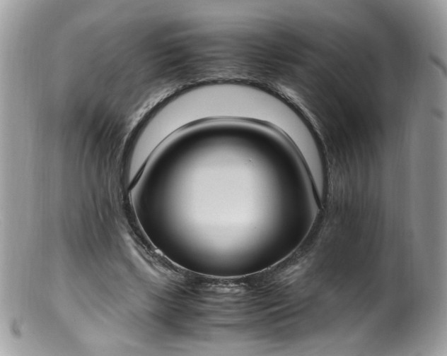 X0000099400443200805151709