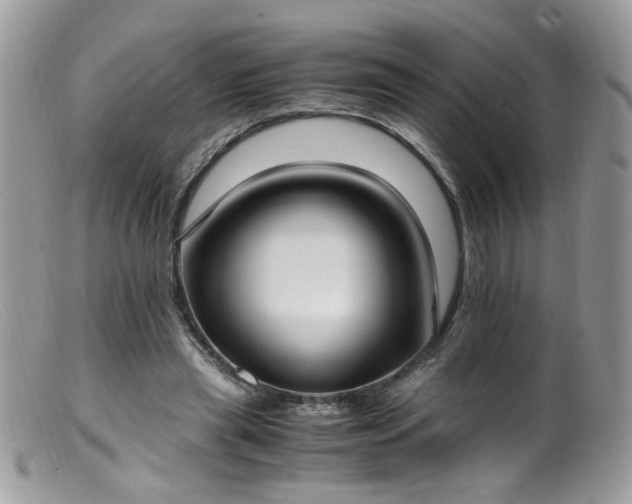 X0000099400445200805151709