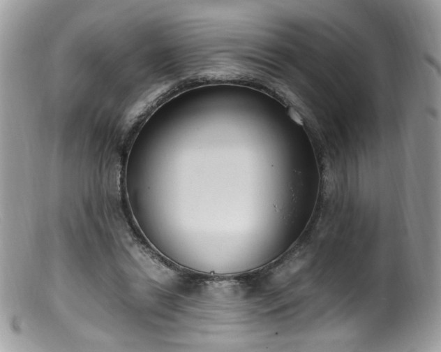 X0000099400446200805151709