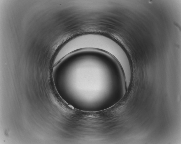 X0000099400447200805151709