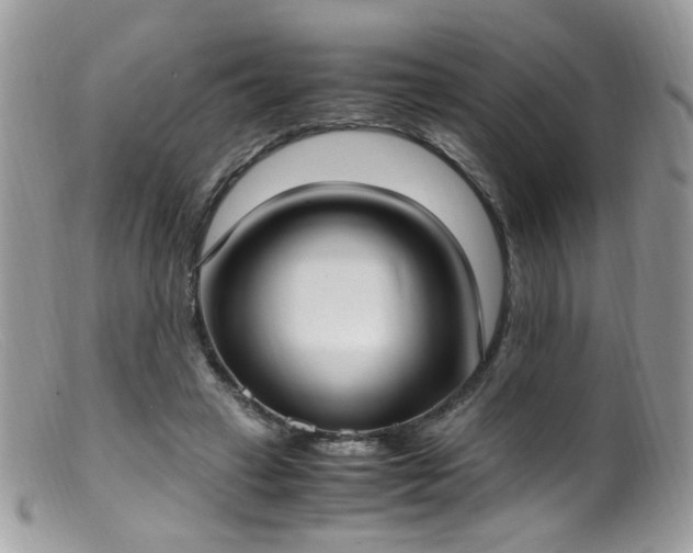 X0000099400449200805151709