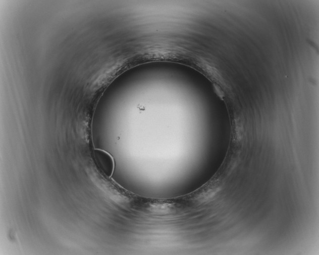 X0000099400450200805151709