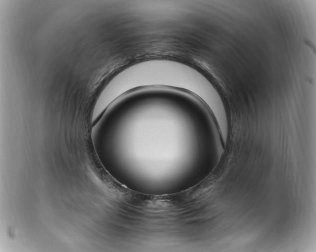 X0000099400451200805151709