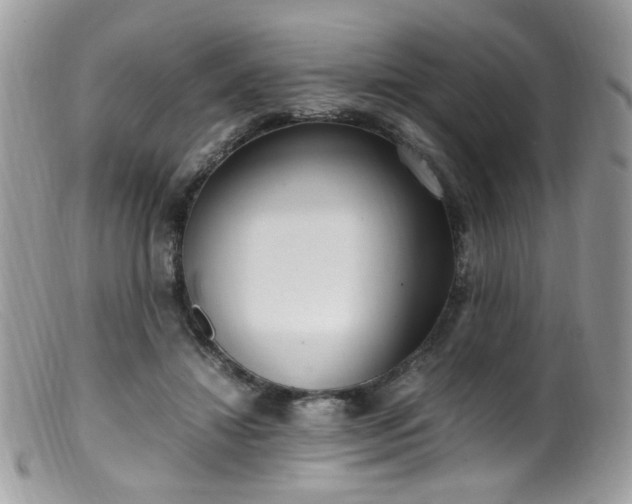 X0000099400452200805151709