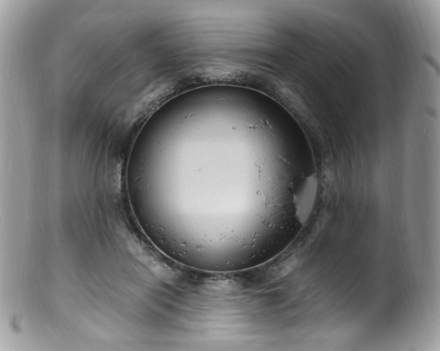 X0000099400454200805151709