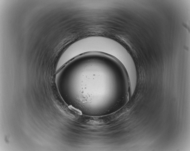 X0000099400455200805151709