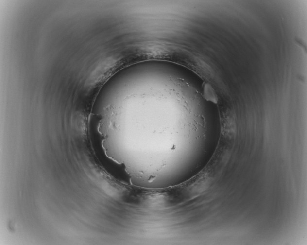 X0000099400456200805151709