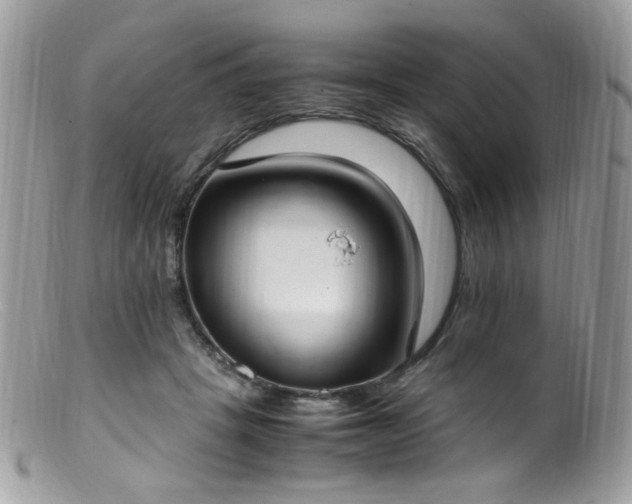 X0000099400457200805151709