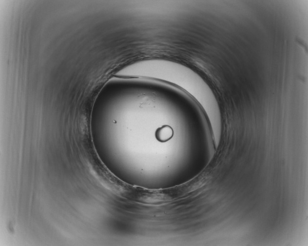 X0000099400459200805151709