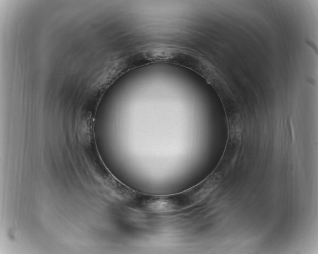 X0000099400460200805151709