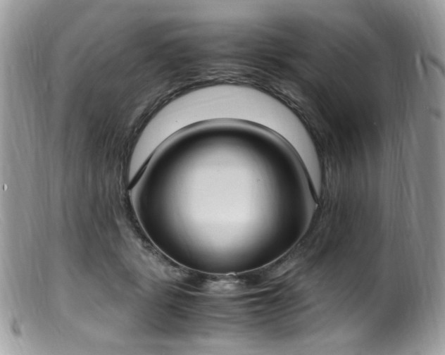 X0000099400461200805151709