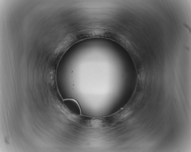 X0000099400462200805151709