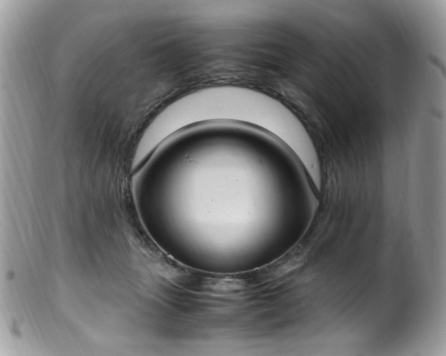 X0000099400463200805151709