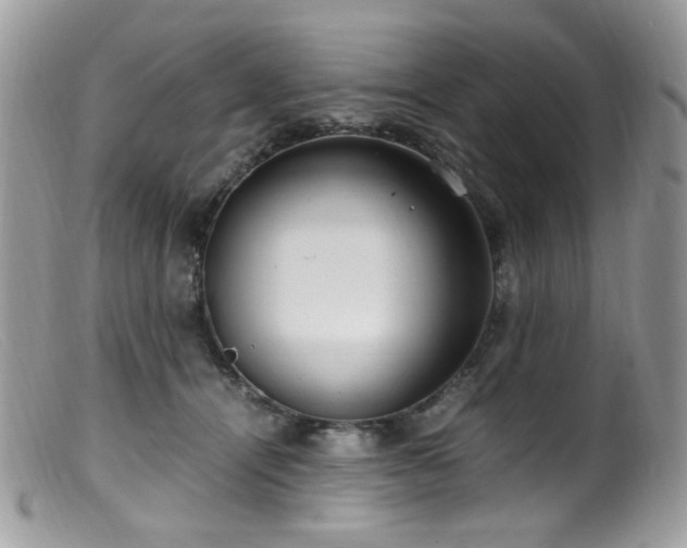 X0000099400464200805151709