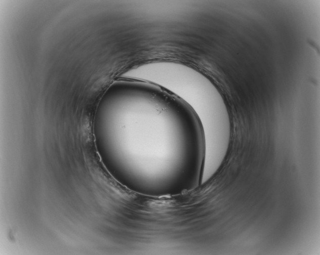 X0000099400465200805151709