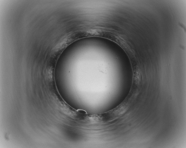 X0000099400466200805151709