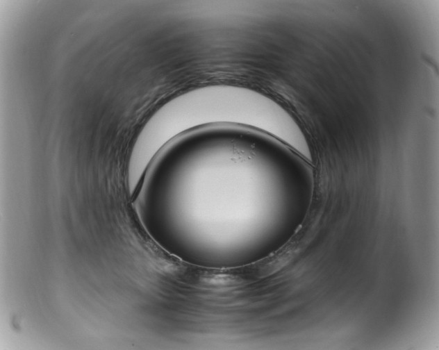 X0000099400467200805151709