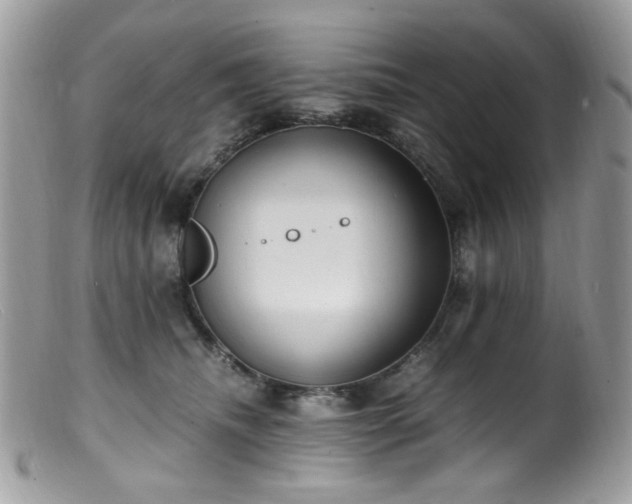 X0000099400468200805151709