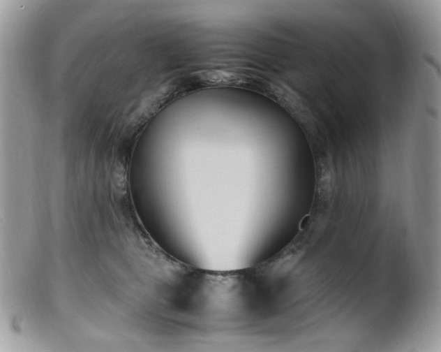 X0000099400469200805151709