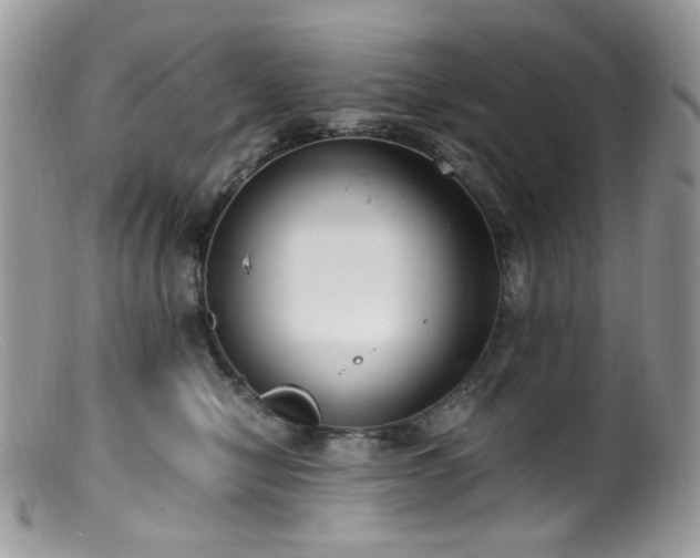 X0000099400470200805151709