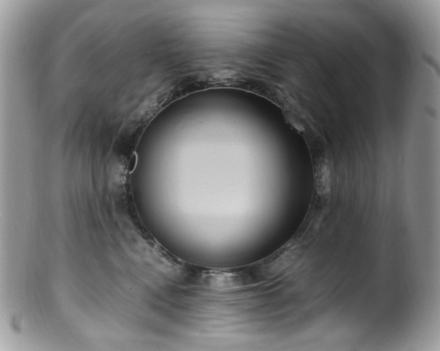 X0000099400472200805151709