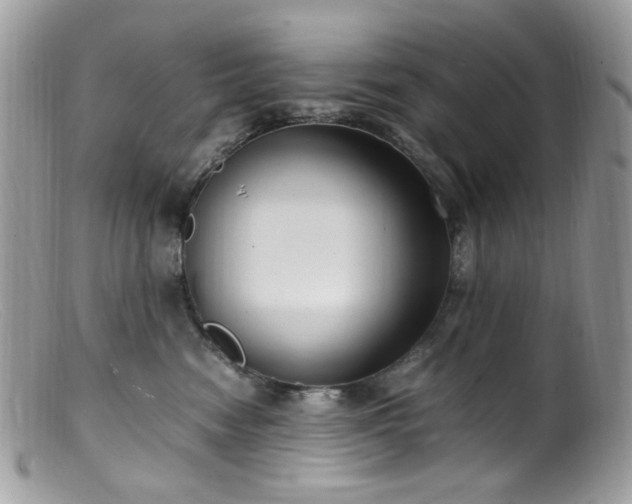 X0000099400474200805151709