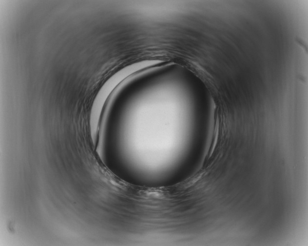 X0000099400475200805151709