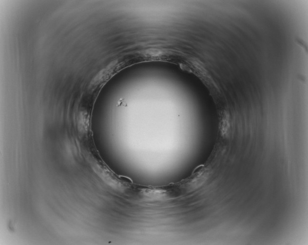 X0000099400476200805151709