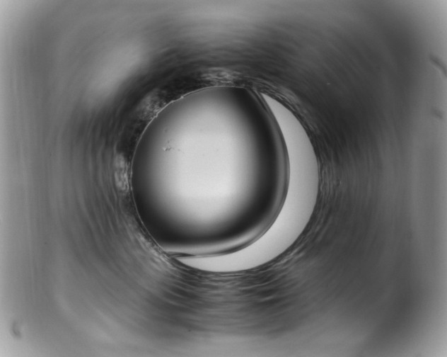 X0000099400477200805151709