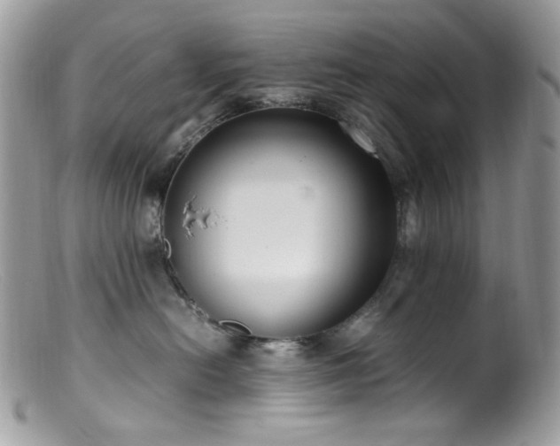 X0000099400478200805151709