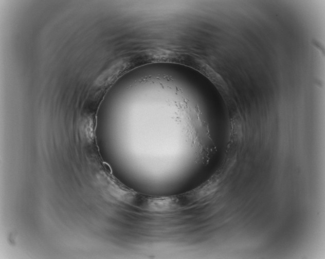 X0000099400479200805151709