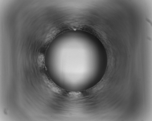 X0000099400480200805151709