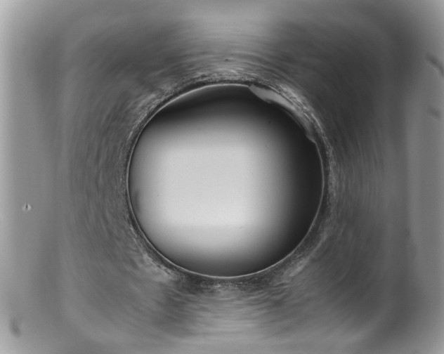 X0000099400481200805151709