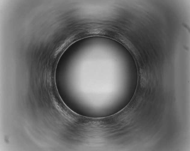 X0000099400482200805151708